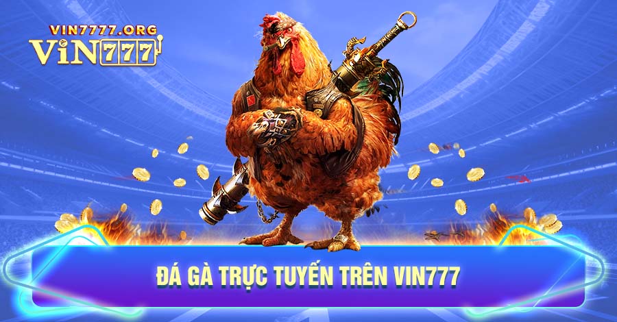 Đá gà trực tuyến trên Vin777