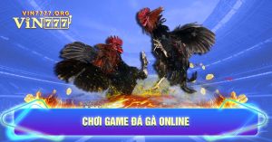 Chơi game Đá gà online